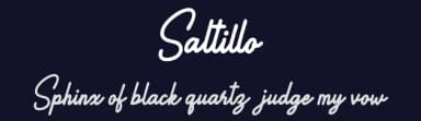 Saltillo by Vunira Design — Script Handwritten Font — thumbnail 2