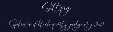 Salting by Vunira Design — Script Handwritten Font — thumbnail 2