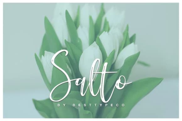 Salto Font by BennyDesigns — Script Handwritten Font