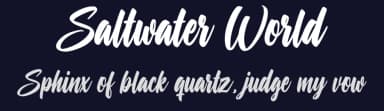 Saltwater World by Octotype  | Thomas Boucherie — Script Handwritten Font — thumbnail 2