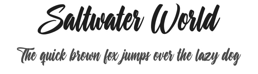 Saltwater World by Octotype  | Thomas Boucherie — Script Handwritten Font — preview 1