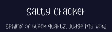 Salty Cracker by Graphix Line Studio — Script Handwritten Font — thumbnail 2
