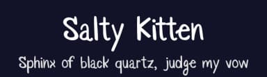 Salty Kitten by Amy Silva — Script Handwritten Font — thumbnail 2
