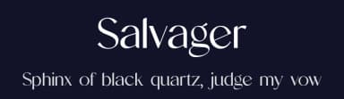 Salvager by UI Creative — Serif Font — thumbnail 2