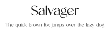 Salvager by UI Creative — Serif Font — thumbnail 1