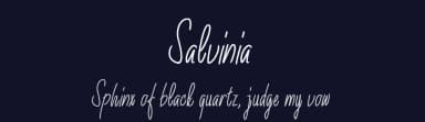 Salvinia by Farz Studio — Script Handwritten Font — thumbnail 2