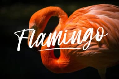 Sam Lonica Font by dwikrisdiantoro9 — Script Handwritten Font — thumbnail 2