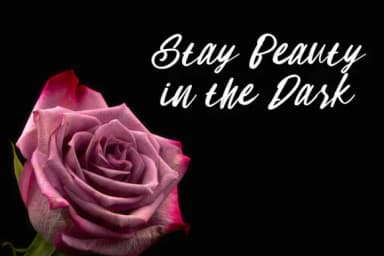 Sam Lonica Font by dwikrisdiantoro9 — Script Handwritten Font — thumbnail 5