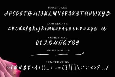 Sam Lonica Font by dwikrisdiantoro9 — Script Handwritten Font — thumbnail 6