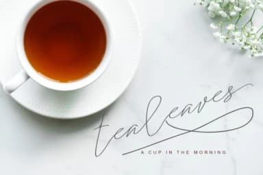 Samantha Font by Analogous — Script Handwritten Font — thumbnail 8