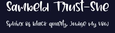 Sambeld Trust-She by Haksen Studio — Script Handwritten Font — thumbnail 2