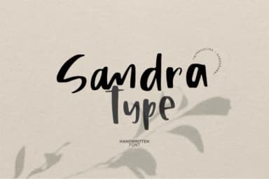 Sandra Type Font by Studio_Art — Script Handwritten Font — thumbnail 1