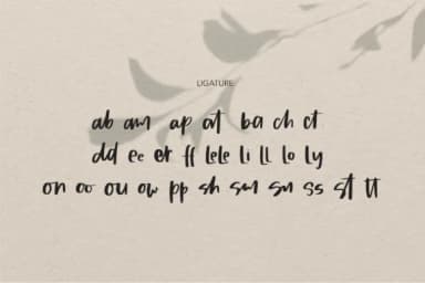 Sandra Type Font by Studio_Art — Script Handwritten Font — thumbnail 7