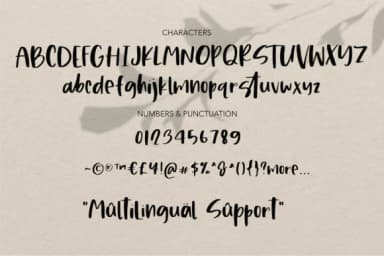 Sandra Type Font by Studio_Art — Script Handwritten Font — thumbnail 8