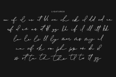 Sanitary Font by BennyDesigns — Script Handwritten Font — thumbnail 4