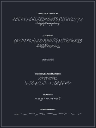 Sansa Dior Font by Hindia Studio — Script Handwritten Font — thumbnail 9