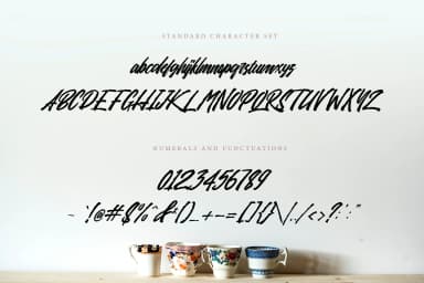 Sansha Font by Tegaki — Script Handwritten Font — thumbnail 2