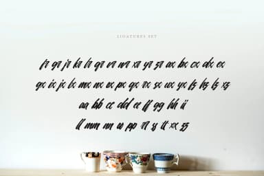 Sansha Font by Tegaki — Script Handwritten Font — thumbnail 4
