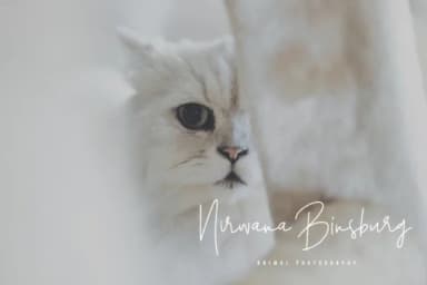 Santiago Pro Font by Dierstudio — Script Handwritten Font — thumbnail 5