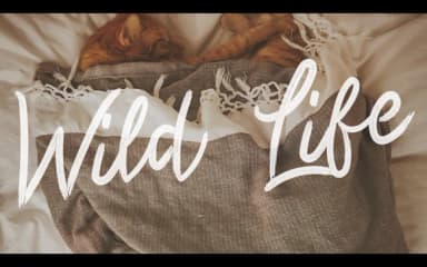 Santina Font by edinsartstudio — Script Handwritten Font — thumbnail 8