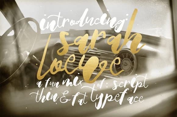 Sarah Loewe Font by Blue Robin Design Shop — Script Handwritten Font