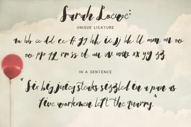 Sarah Loewe Font by Blue Robin Design Shop — Script Handwritten Font — thumbnail 8