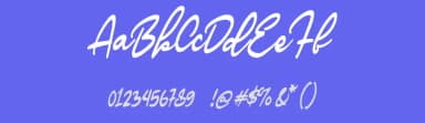 Sartic Script by Colative Studio — Script Handwritten Font — thumbnail 3