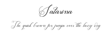 Satarina by belovestudio — Script Handwritten Font — thumbnail 1