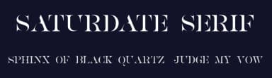 Saturdate Serif by Subectype & Orenari — Sans Serif Font — thumbnail 2