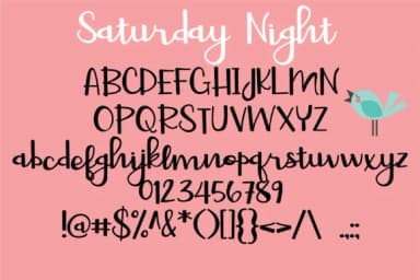 Saturday Duo Font by Illustration Ink — Script Handwritten Font — thumbnail 3