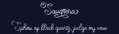 Savattera by Prioritype Co — Script Handwritten Font — thumbnail 2