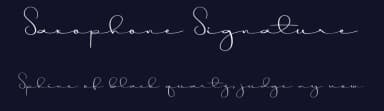 Saxophone Signature by Erik Studio — Script Handwritten Font — thumbnail 2