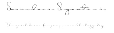 Saxophone Signature by Erik Studio — Script Handwritten Font — thumbnail 1
