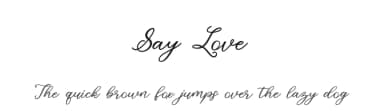 Say Love by Sulthanstudio — Script Handwritten Font — thumbnail 1