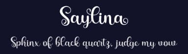 Saylina by Holydie Studio — Script Handwritten Font — thumbnail 2
