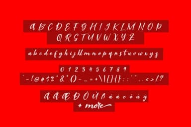 Scarlet Pen Font by suzurantype — Script Handwritten Font — thumbnail 6