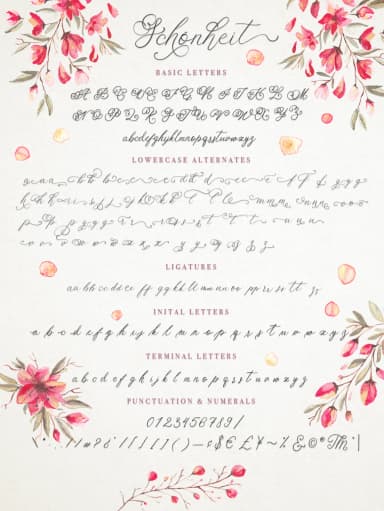 Schönheit Font by Red Ink — Script Handwritten Font — thumbnail 6