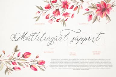 Schönheit Font by Red Ink — Script Handwritten Font — thumbnail 7