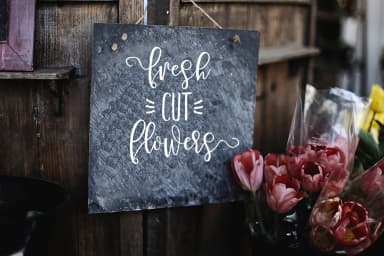 Schiffen Script Font by Youngtype — Script Handwritten Font — thumbnail 3