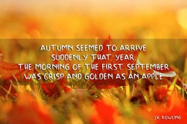 Scrap Brush Font by Atjcloth Studio — Script Handwritten Font — thumbnail 2