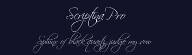 Scriptina Pro by CheapProFonts — Script Handwritten Font — thumbnail 2