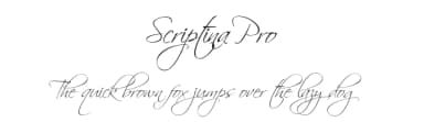 Scriptina Pro by CheapProFonts — Script Handwritten Font — thumbnail 1