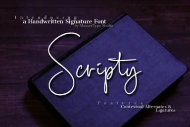 Scripty Font by MaxnorType — Script Handwritten Font — thumbnail 1