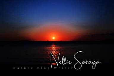 Scripty Font by MaxnorType — Script Handwritten Font — thumbnail 7