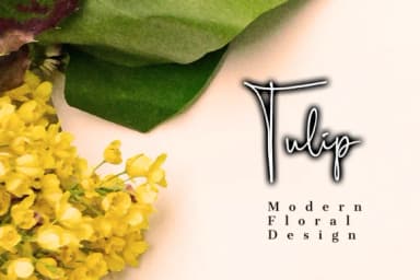 Scripty Font by MaxnorType — Script Handwritten Font — thumbnail 8