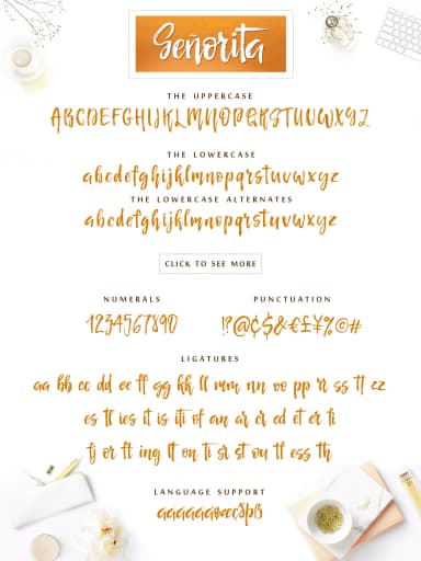 Señorita Font by Iradvilyuk — Script Handwritten Font — thumbnail 2