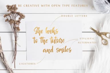 Señorita Font by Iradvilyuk — Script Handwritten Font — thumbnail 3