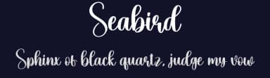 Seabird by Scratchones — Script Handwritten Font — thumbnail 2