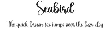 Seabird by Scratchones — Script Handwritten Font — thumbnail 1