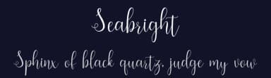 Seabright by Amarlettering - Takiy — Script Handwritten Font — thumbnail 2